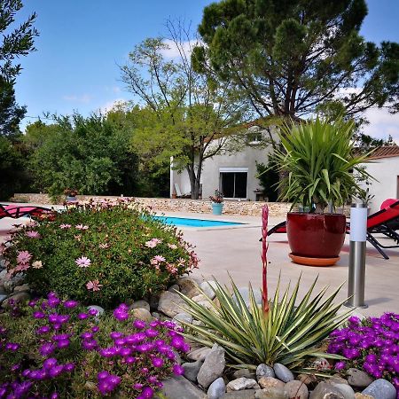 Bed and Breakfast Mas Des Tournevents Лезиньян-Корбьер Экстерьер фото