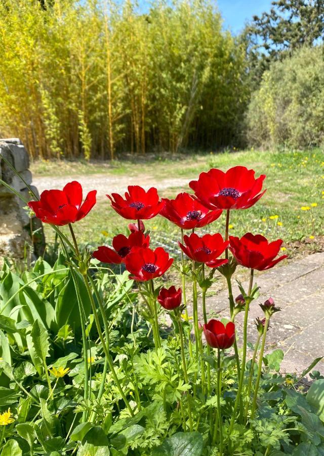 Bed and Breakfast Mas Des Tournevents Лезиньян-Корбьер Экстерьер фото